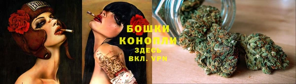PSILOCYBIN Михайловка