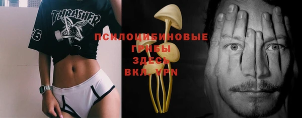 шишки Михайлов