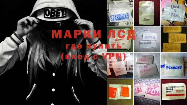 шишки Михайлов