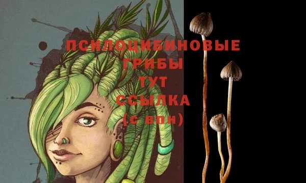 шишки Михайлов