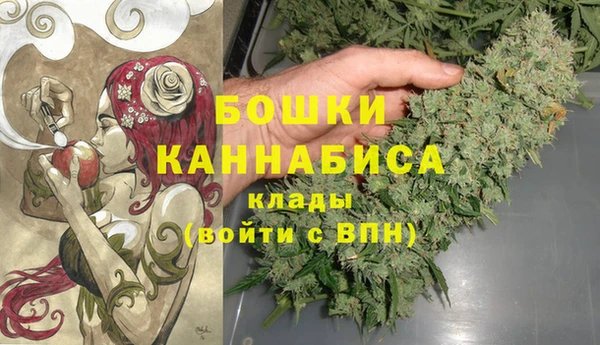 шишки Михайлов