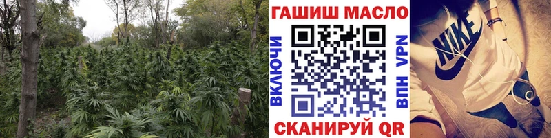 как найти Прокопьевск Дистиллят ТГК Wax