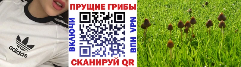 мориарти клад  цена   Прокопьевск  Псилоцибиновые грибы ЛСД 