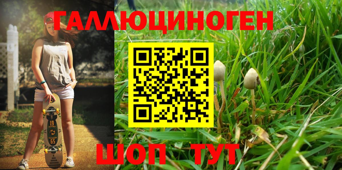 Прокопьевск  Галлюциногенные грибы MAGIC MUSHROOMS  Вход с VPN 