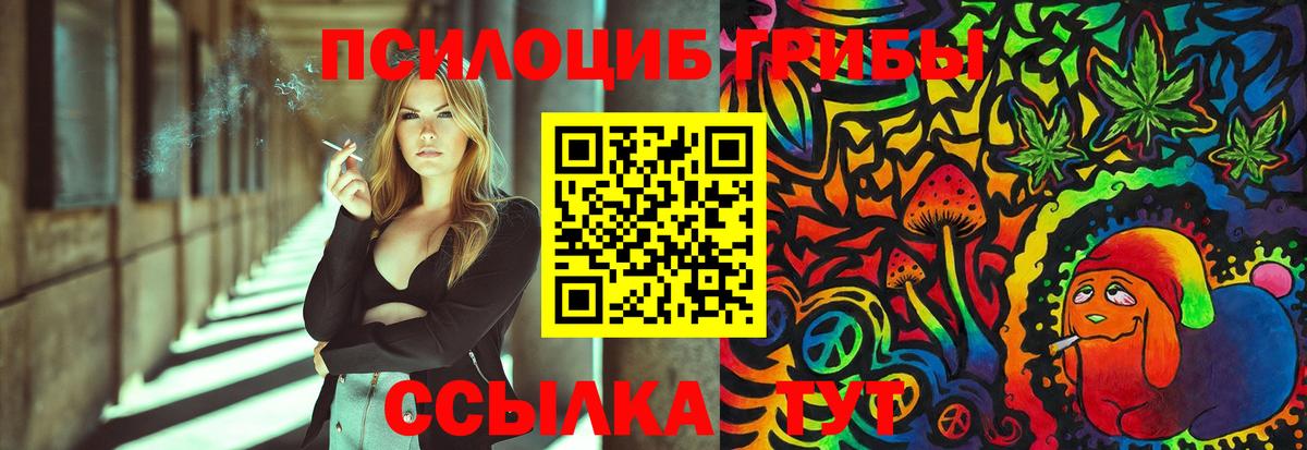 Псилоцибиновые грибы Psilocybine cubensis Прокопьевск
